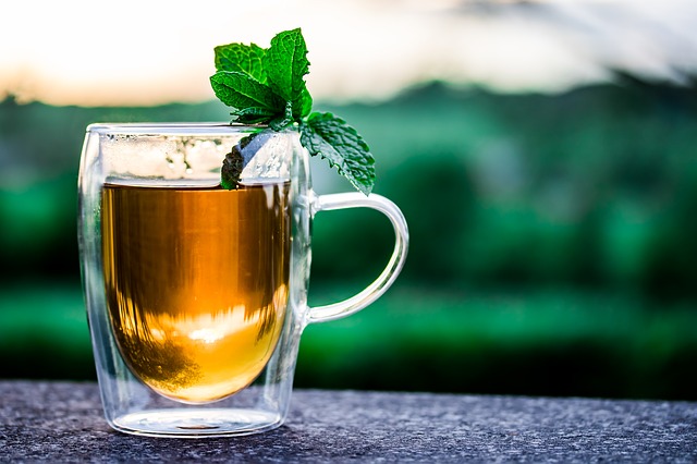 Quel thé vert boire pour maigrir ?