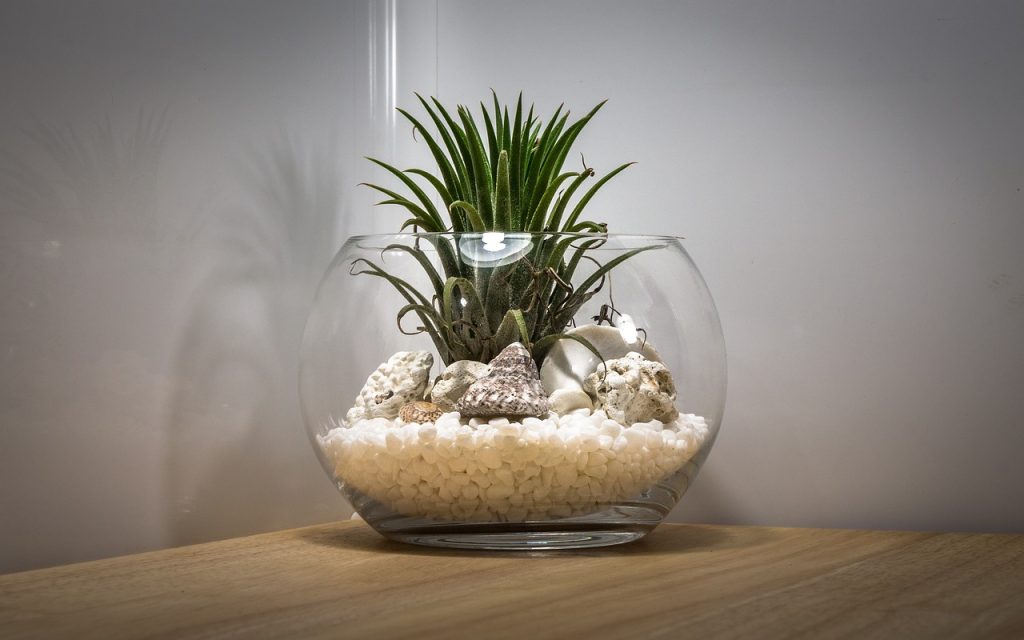 atelier terrarium