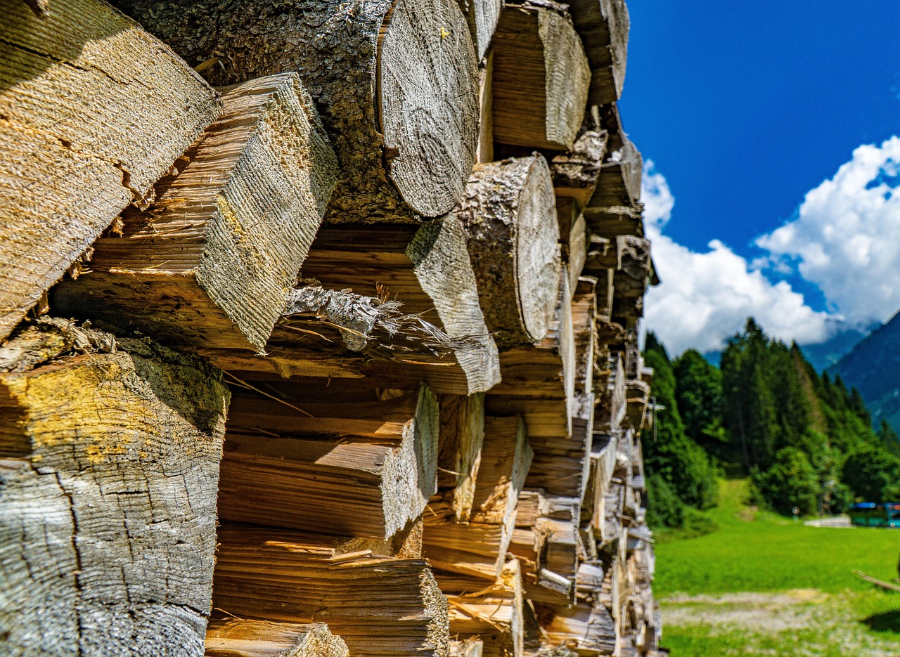 découvrez notre sélection de bois de chauffage de qualité, idéal pour vous réchauffer pendant les froides soirées d'hiver. profitez de tarifs compétitifs et d'une livraison rapide pour alimenter votre cheminée ou votre poêle.