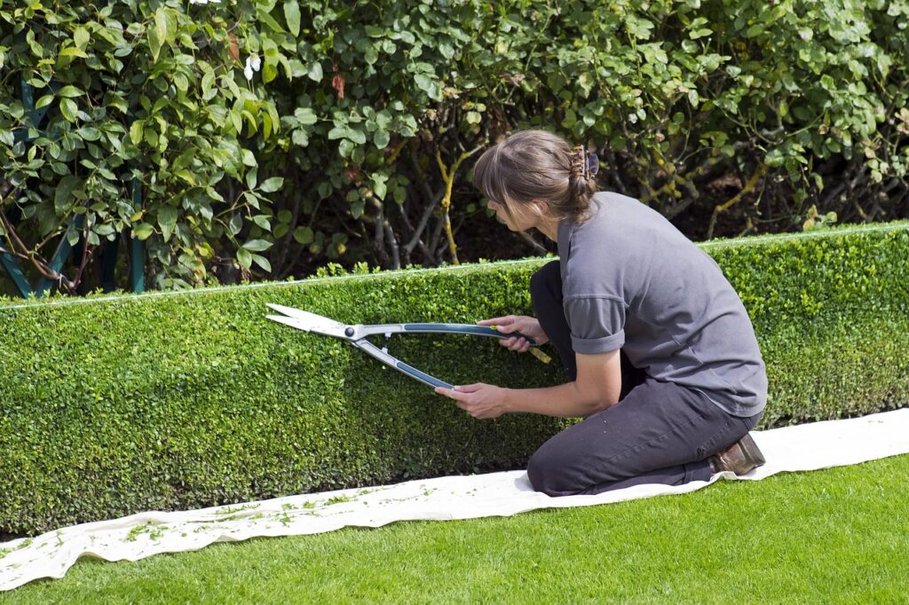 discover the beauty of low-maintenance landscaping. explore easy-to-care-for plants, efficient designs, and sustainable practices that reduce upkeep while enhancing your outdoor space. perfect for busy homeowners seeking a beautiful garden without the hassle!