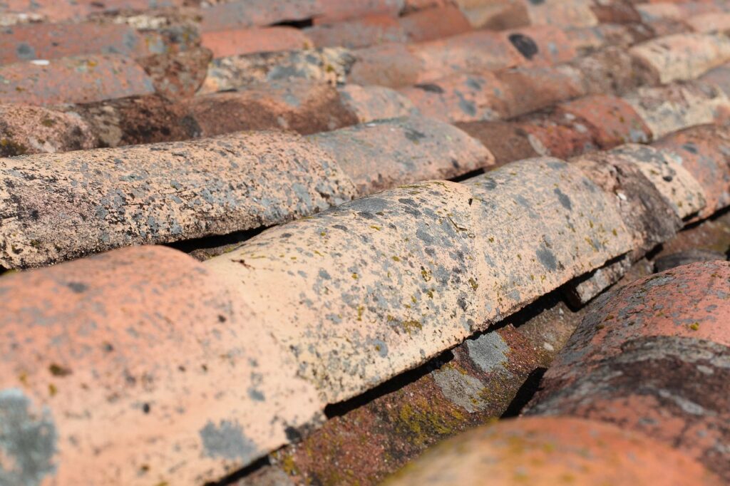 découvrez les services professionnels d’un roofer qualifié pour l’installation, la réparation et l’entretien de toitures. bénéficiez d’un travail fiable, rapide et adapté à vos besoins, que ce soit pour votre maison ou votre bâtiment commercial. demandez votre devis gratuit dès maintenant !