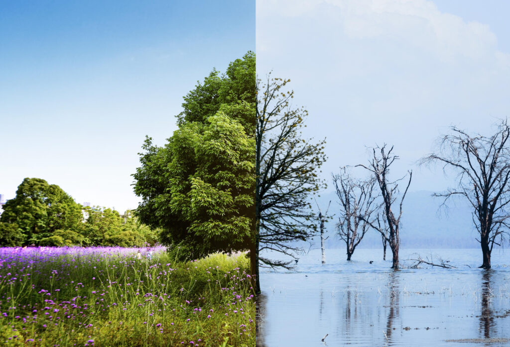 climat